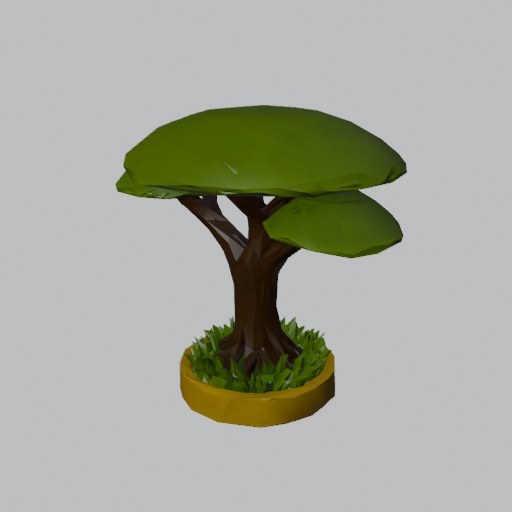 Acacia Tree - four angles