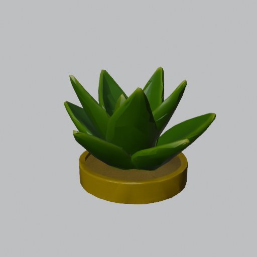 Agave Plant - four angles