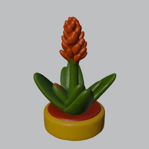 Aloe Plant - four angles