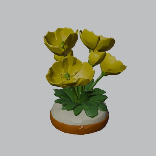 Arctic Poppy Clump - four angles