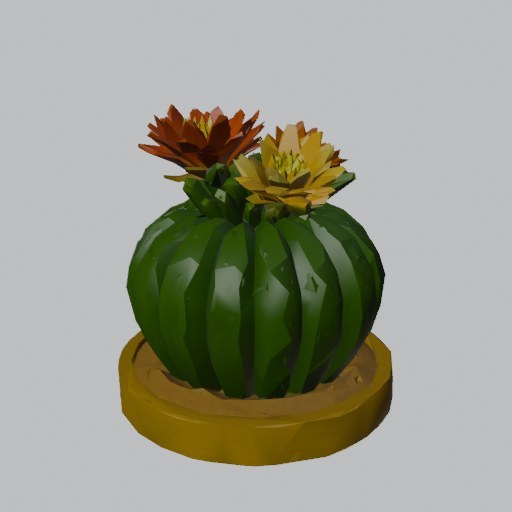 Barrel Cactus - four angles