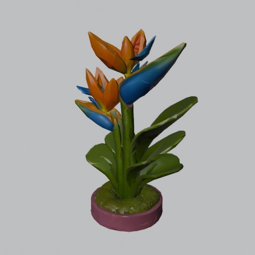 Bird Of Paradise Flower - four angles