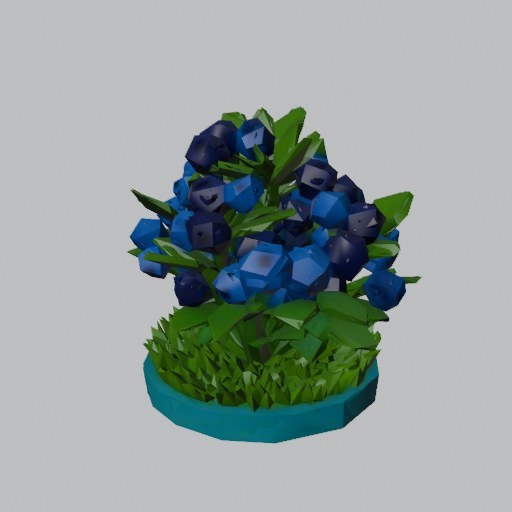 Blueberry Bush - four angles