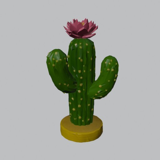 Column Cactus - four angles