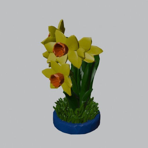 Daffodil Clump - four angles