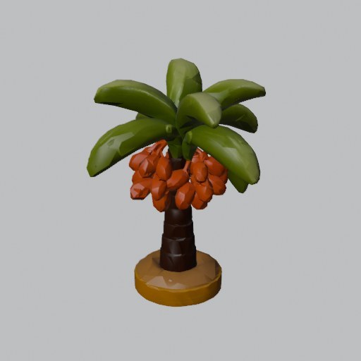 Date Palm - four angles