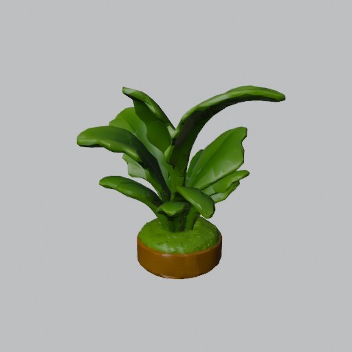 Fern Clump - four angles