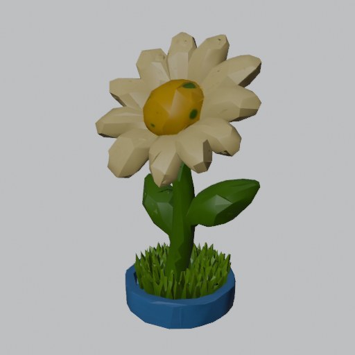 Giant Daisy - four angles