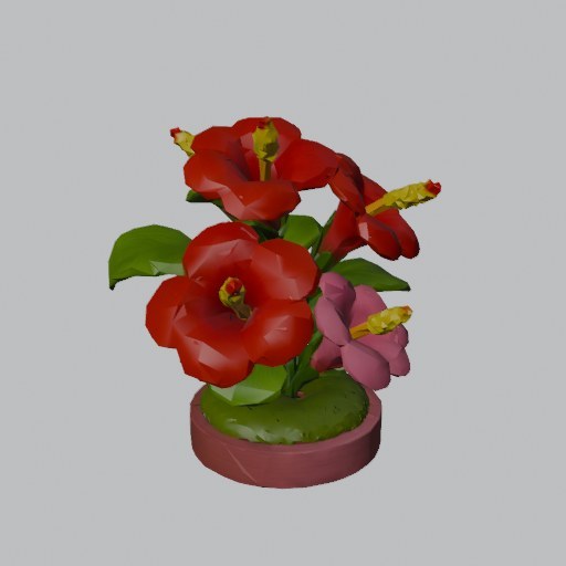 Hibiscus Bush - four angles