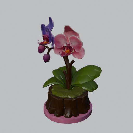 Orchid Stump - four angles