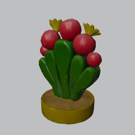 Paddle Cactus - four angles