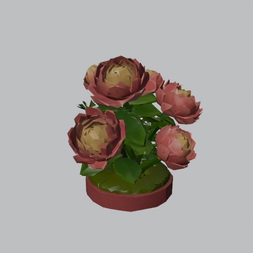 Peony Bush - four angles