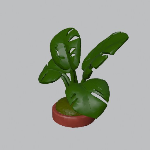 Split Leaf Plant - four angles