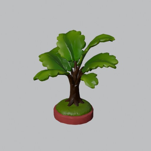 Tree Fern - four angles