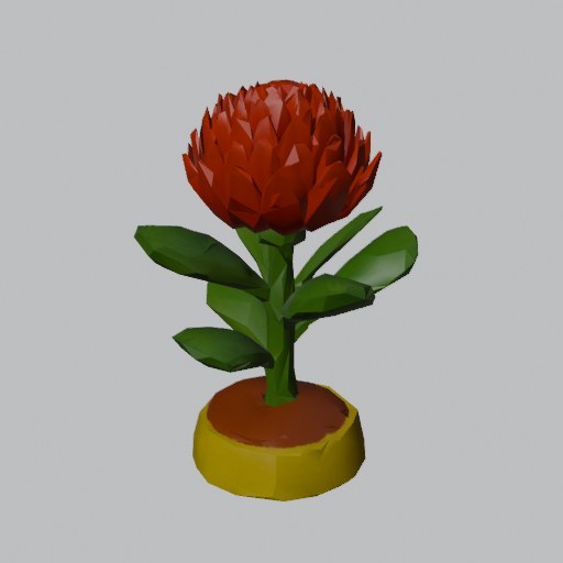Waratah Flower - four angles