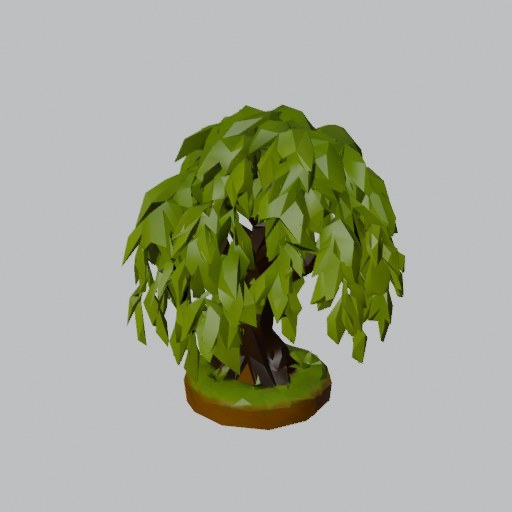 Willow Tree - four angles