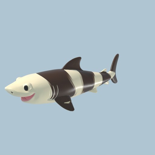 Bamboo Shark - four angles