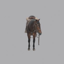Horse saddled bay - front view